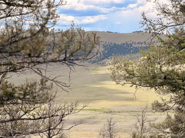 1348 Middle Fork Vista Fairplay, CO 80440