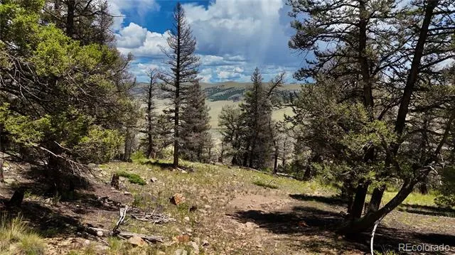 1348 Middle Fork Vista Fairplay, CO 80440