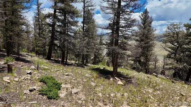 1348 Middle Fork Vista Fairplay, CO 80440