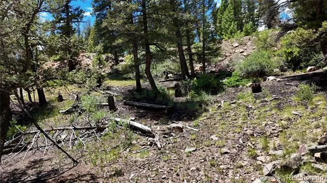 1348 Middle Fork Vista Fairplay, CO 80440