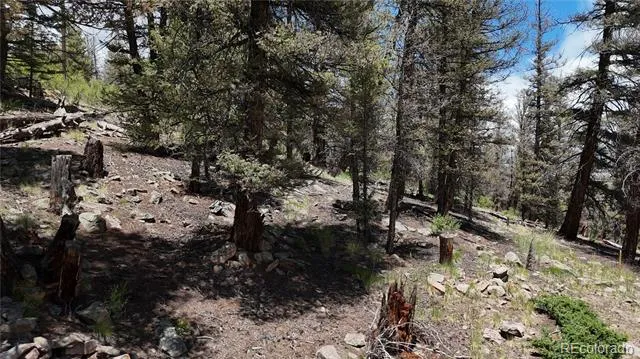 1348 Middle Fork Vista Fairplay, CO 80440