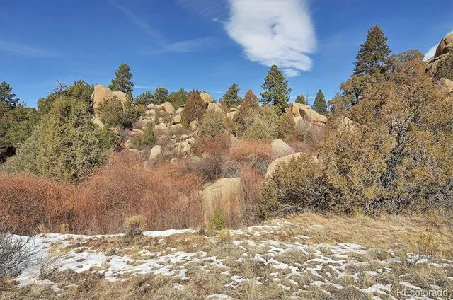 31950 Forest Service Road 376 Buena Vista, CO 81211