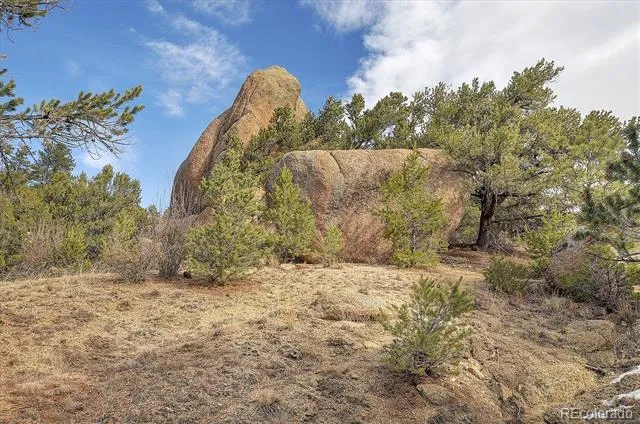 31950 Forest Service Road 376 Buena Vista, CO 81211