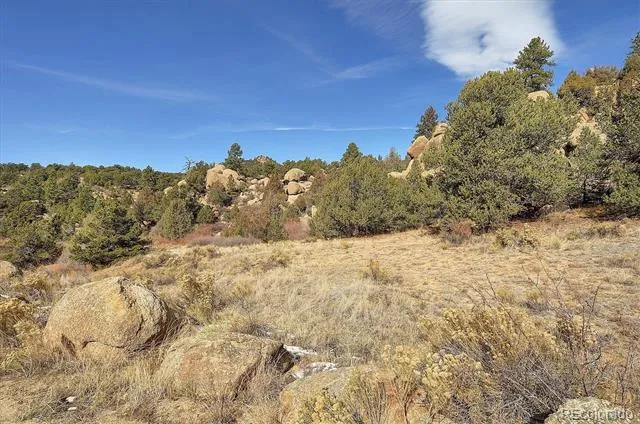 31950 Forest Service Road 376 Buena Vista, CO 81211