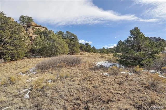 31950 Forest Service Road 376 Buena Vista, CO 81211