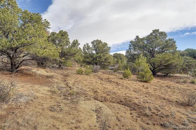 31950 Forest Service Road 376 Buena Vista, CO 81211