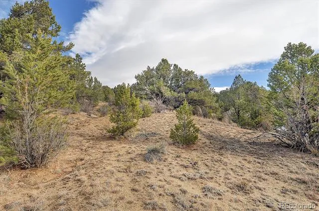 31950 Forest Service Road 376 Buena Vista, CO 81211
