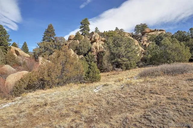 31950 Forest Service Road 376 Buena Vista, CO 81211