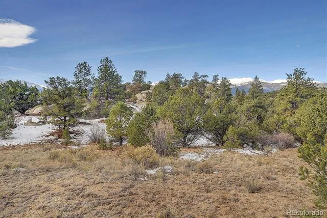 31950 Forest Service Road 376 Buena Vista, CO 81211