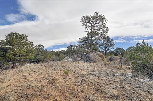 31950 Forest Service Road 376 Buena Vista, CO 81211