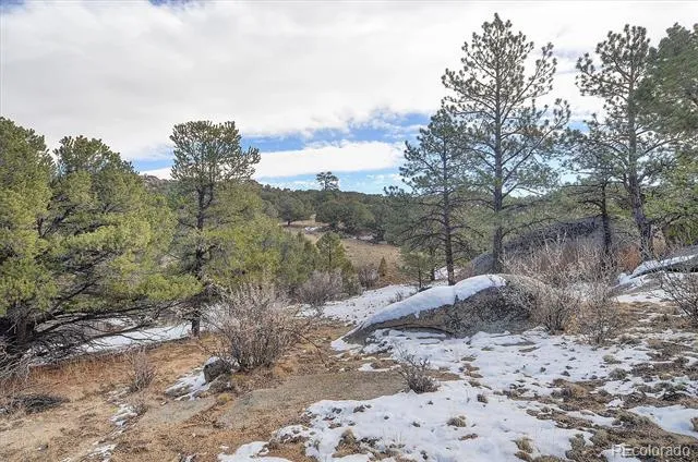 31950 Forest Service Road 376 Buena Vista, CO 81211
