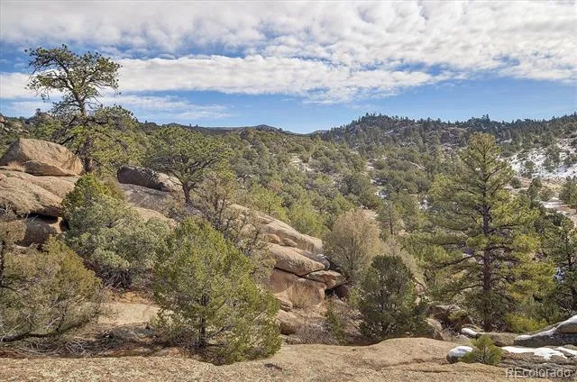 31950 Forest Service Road 376 Buena Vista, CO 81211