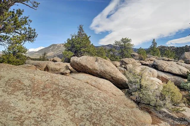 31950 Forest Service Road 376 Buena Vista, CO 81211