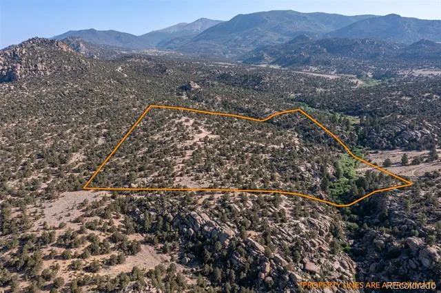 31950 Forest Service Road 376 Buena Vista, CO 81211