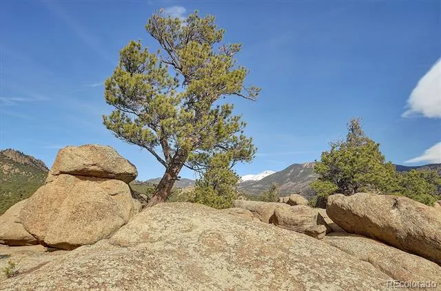 31950 Forest Service Road 376 Buena Vista, CO 81211