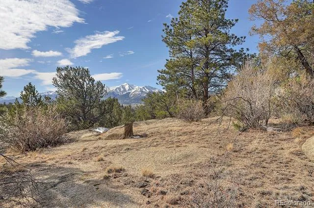 31950 Forest Service Road 376 Buena Vista, CO 81211