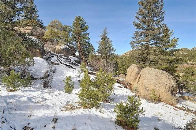 31950 Forest Service Road 376 Buena Vista, CO 81211