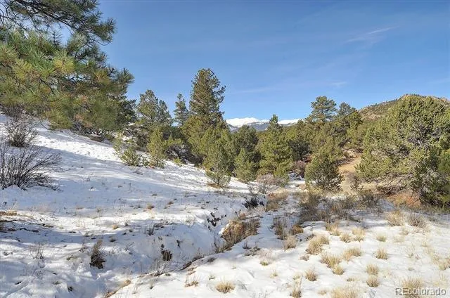 31950 Forest Service Road 376 Buena Vista, CO 81211
