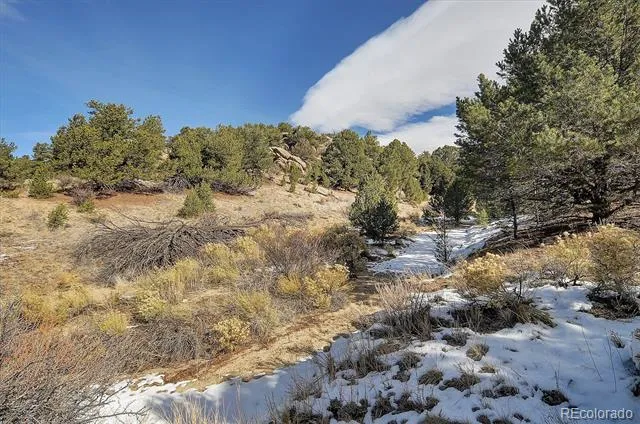 31950 Forest Service Road 376 Buena Vista, CO 81211