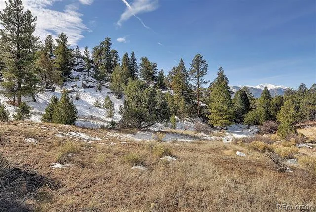 31950 Forest Service Road 376 Buena Vista, CO 81211