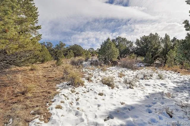 31950 Forest Service Road 376 Buena Vista, CO 81211