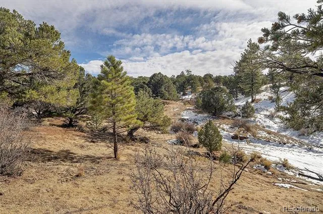 31950 Forest Service Road 376 Buena Vista, CO 81211