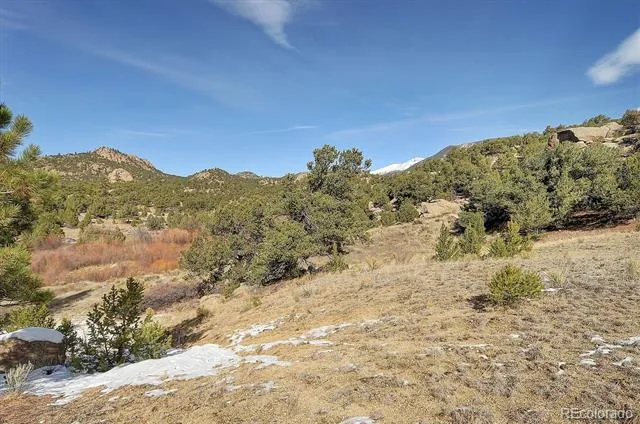 31950 Forest Service Road 376 Buena Vista, CO 81211