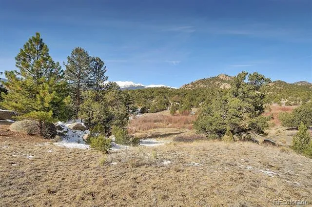 31950 Forest Service Road 376 Buena Vista, CO 81211