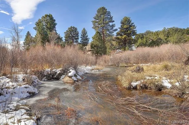 31950 Forest Service Road 376 Buena Vista, CO 81211
