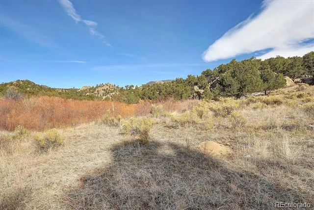 31950 Forest Service Road 376 Buena Vista, CO 81211