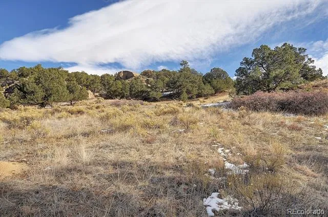 31950 Forest Service Road 376 Buena Vista, CO 81211