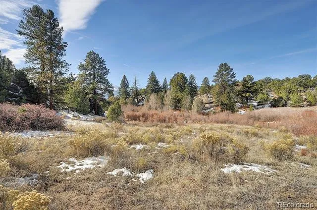 31950 Forest Service Road 376 Buena Vista, CO 81211