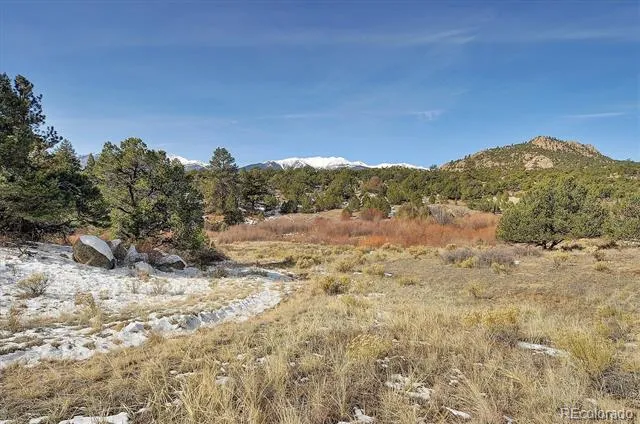 31950 Forest Service Road 376 Buena Vista, CO 81211