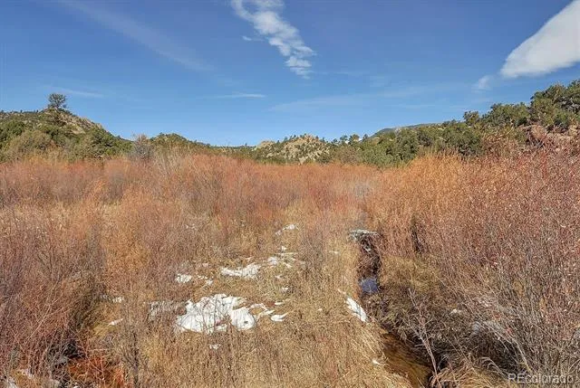 31950 Forest Service Road 376 Buena Vista, CO 81211