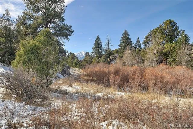 31950 Forest Service Road 376 Buena Vista, CO 81211