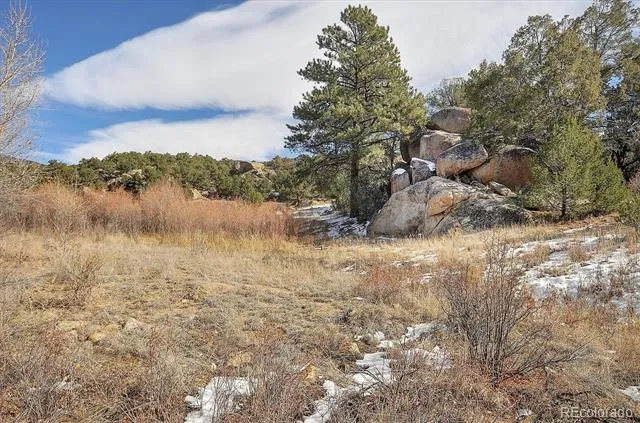 31950 Forest Service Road 376 Buena Vista, CO 81211