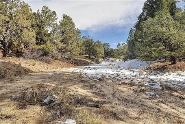 31950 Forest Service Road 376 Buena Vista, CO 81211