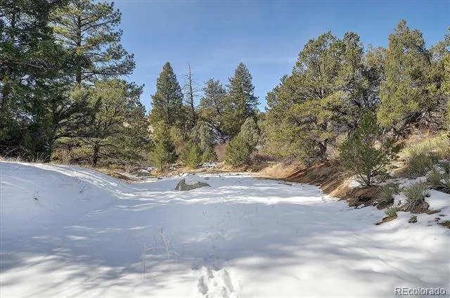 31950 Forest Service Road 376 Buena Vista, CO 81211