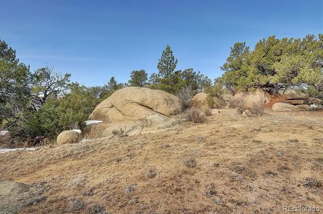 31950 Forest Service Road 376 Buena Vista, CO 81211