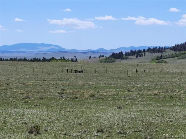 2232 CR 5 Fairplay, CO 80440