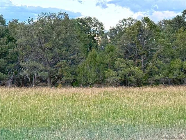 34706 Fruitland Mesa Road Crawford, CO 81415