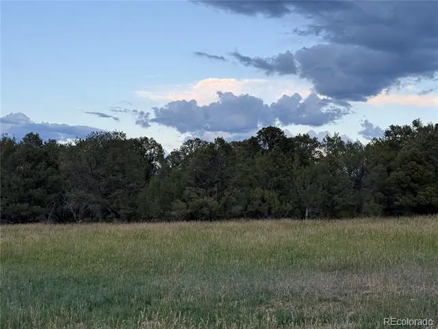 34706 Fruitland Mesa Road Crawford, CO 81415