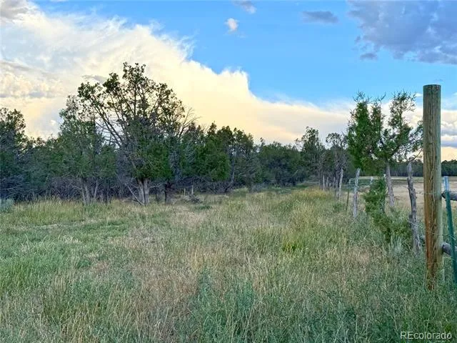 34706 Fruitland Mesa Road Crawford, CO 81415