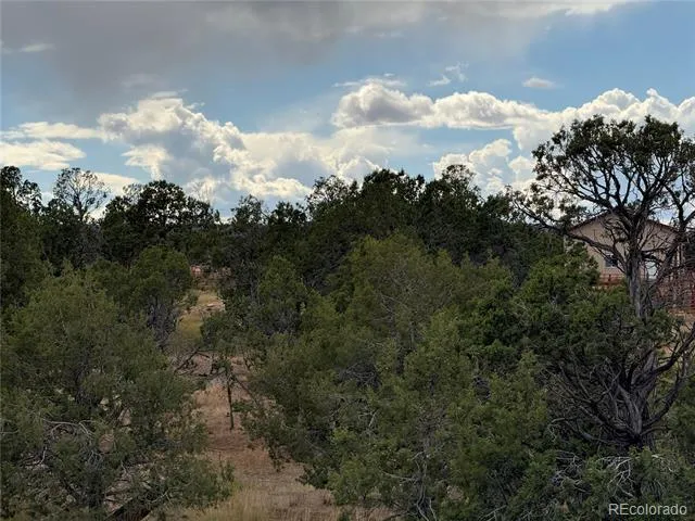 34706 Fruitland Mesa Road Crawford, CO 81415