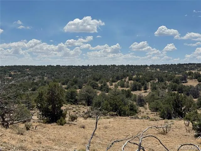 LOT F Twin Lakes Ranches Walsenburg, CO 81089