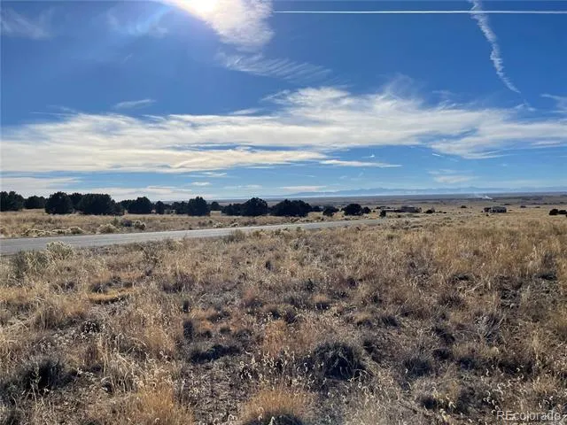 3301 Camino Del Rey Crestone, CO 81131