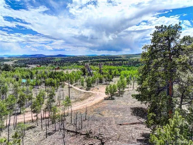 53 Fawn Court Como, CO 80432