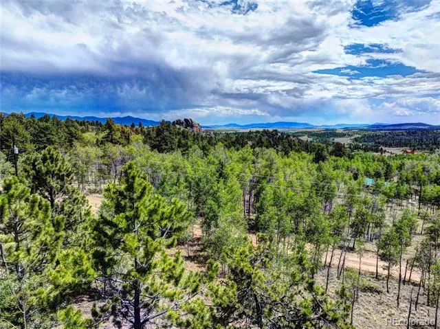 53 Fawn Court Como, CO 80432
