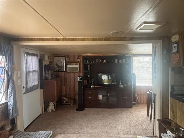 10795 County Road 197 A #282 & 283 Nathrop, CO 81236