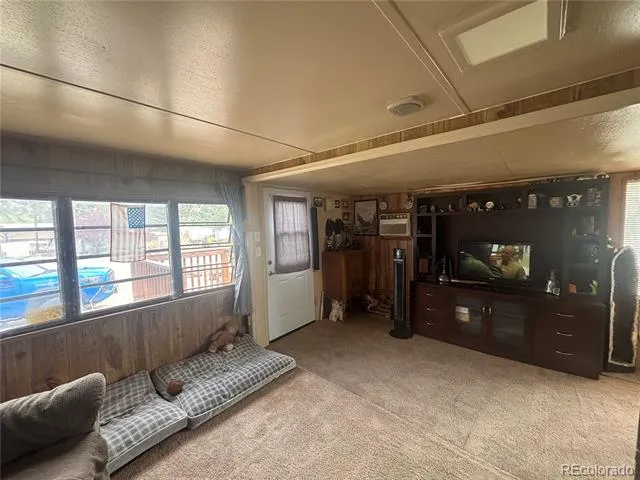 10795 County Road 197 A #282 & 283 Nathrop, CO 81236
